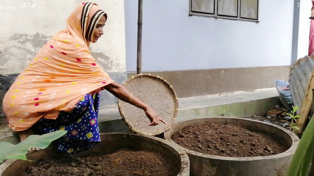কেঁচো সারে দিন  ফিরেছে মর্জিনার