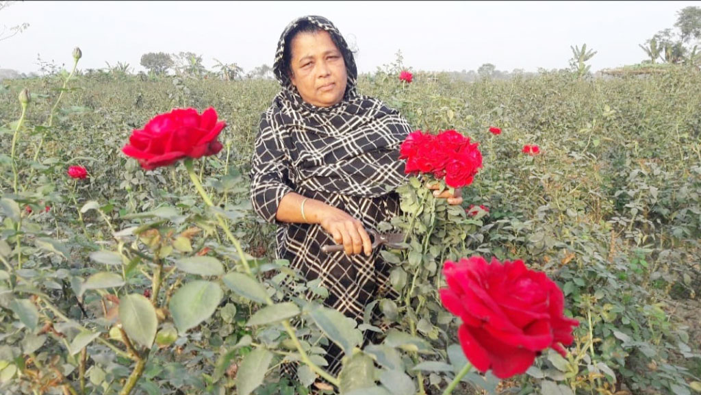 ফুলেই ফিরেছে দিন