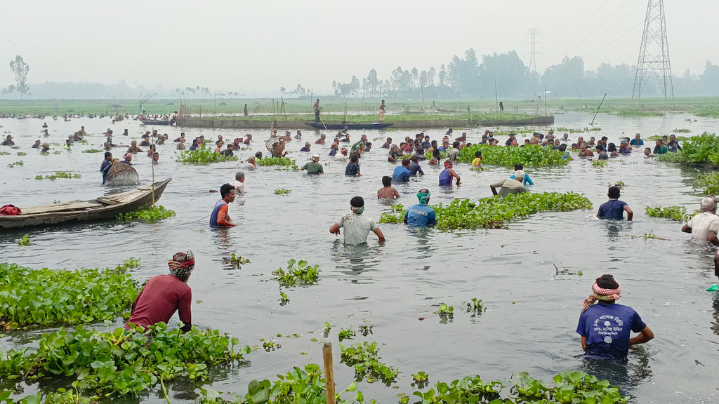 খলিলাবাদ বিলে পলো বাওয়া উৎসবে মাছ ধরায় ব্যস্ত মৎস্য শিকারিরা। রায়পুরা উপজেলার পলাশতলী ইউনিয়নের খলিলাবাদ গ্রাম, নরসিংদী, ৪ মার্চ ২০২৪। ছবি: হারুনুর রশিদ
