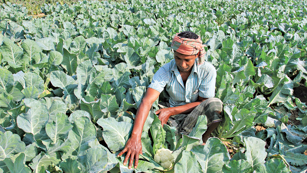 পরিবর্তিত কৃষির জন্য প্রস্তুত হতে হবে