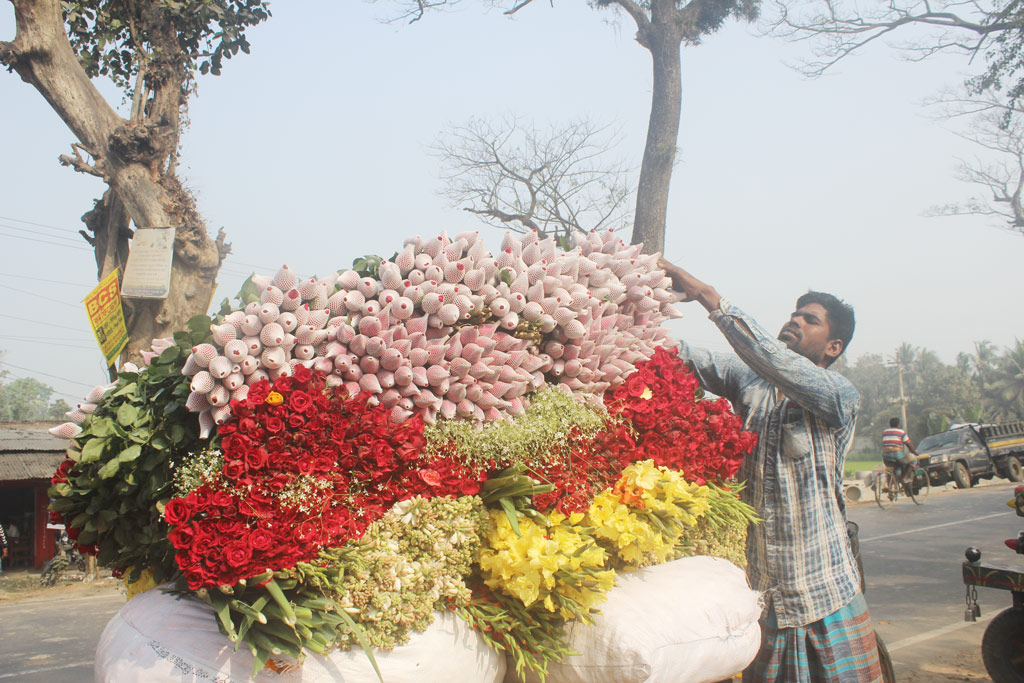 দিনের ছবি (১৩ ফেব্রুয়ারি, ২০২৩)