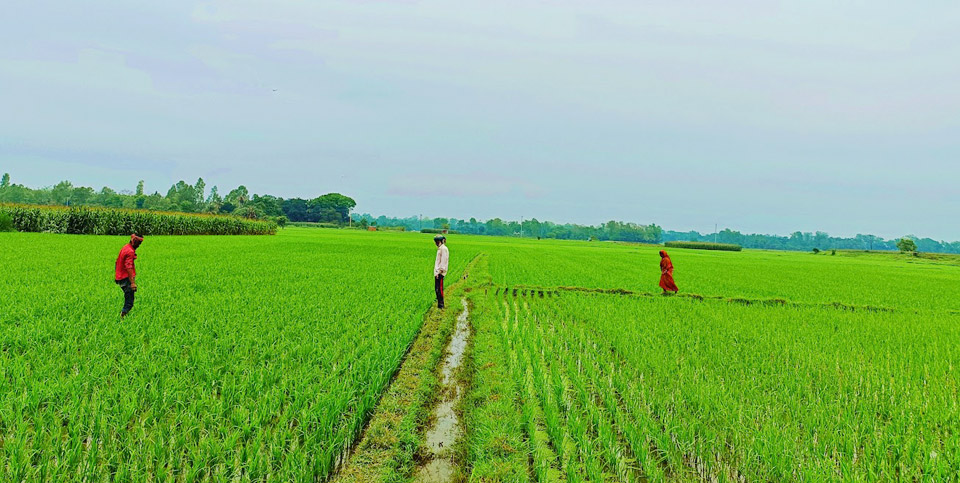 দিনের ছবি (০৮ এপ্রিল, ২০২৩)