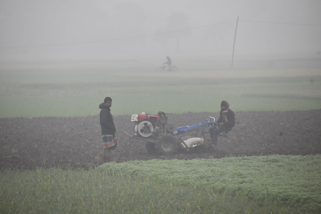 ভারী কাপড়ে গা মুড়িয়ে খেতে চাষ করছেন কৃষক। 