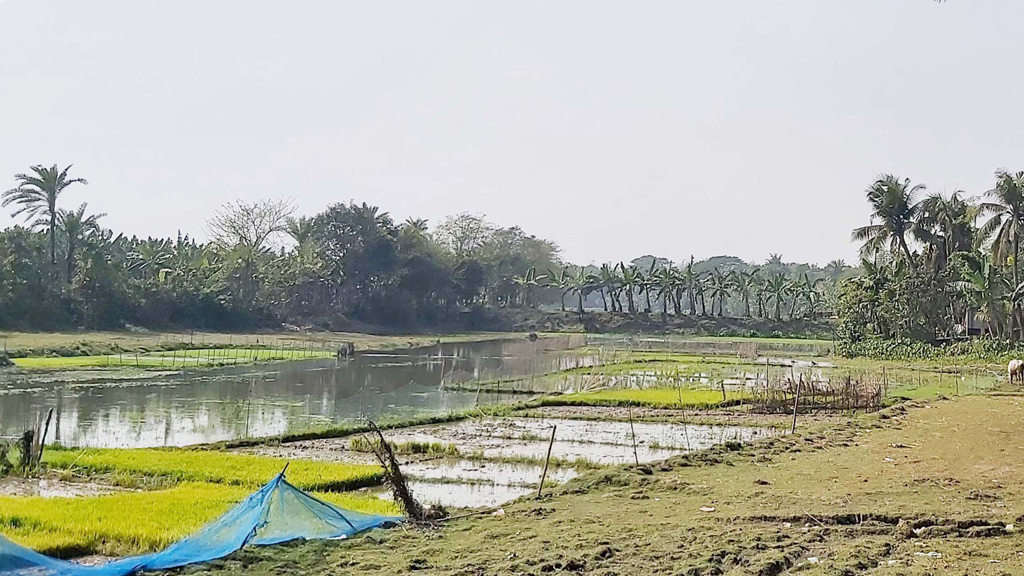 কুমার-নবগঙ্গায় দখল উৎসব