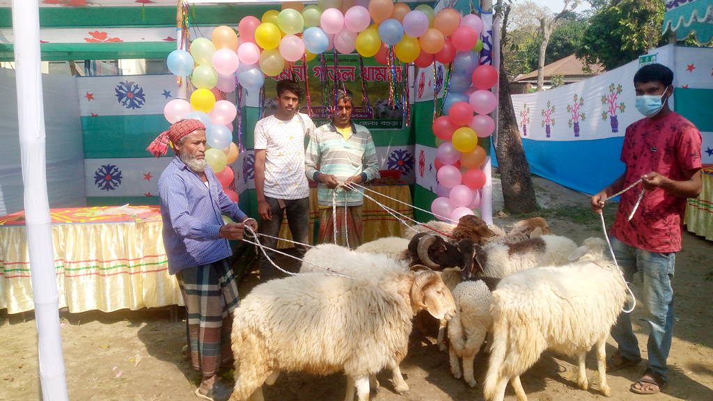 মেলার প্রধান আকর্ষণ মরু দেশের গাড়ল