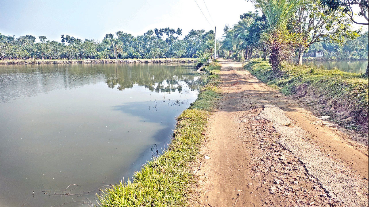 কোটি টাকার রাস্তা পুকুরে, বাড়ছে জনদুর্ভোগ 