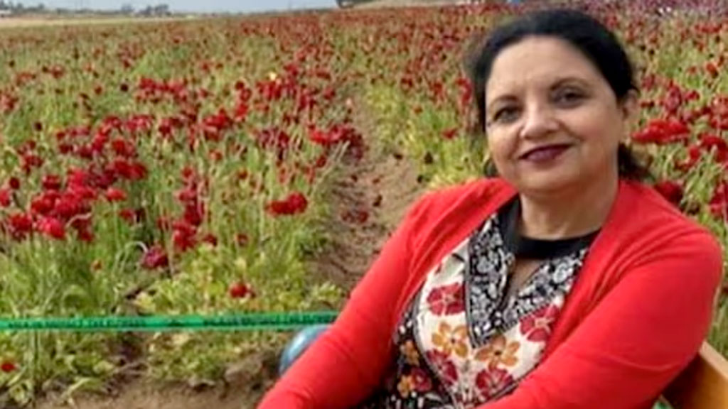 ৩০ বছর ধরে যুক্তরাষ্ট্রে থাকেন ভারতীয় নারী, গ্রিন কার্ড সাক্ষাৎকারে গিয়ে আটক