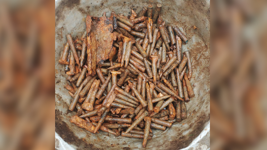 পটোলখেতে মিলল বাক্সভর্তি গুলি