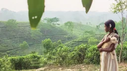 রাশিয়ার উৎসবে স্বল্পদৈর্ঘ্য ‘নিশি’