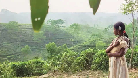 রাশিয়ার উৎসবে স্বল্পদৈর্ঘ্য ‘নিশি’