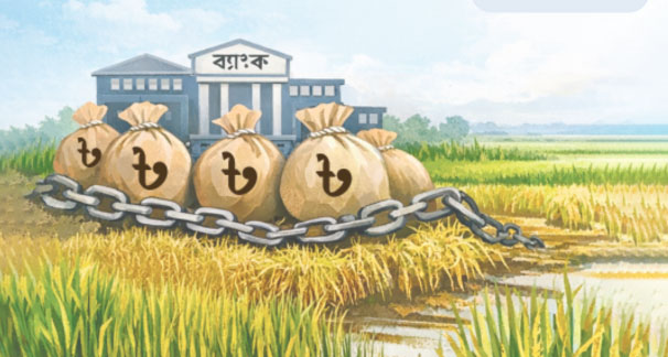 কৃষিতে অর্থায়ন: কৃষিঋণে আগ্রহ কম
ব্যাংকগুলোর