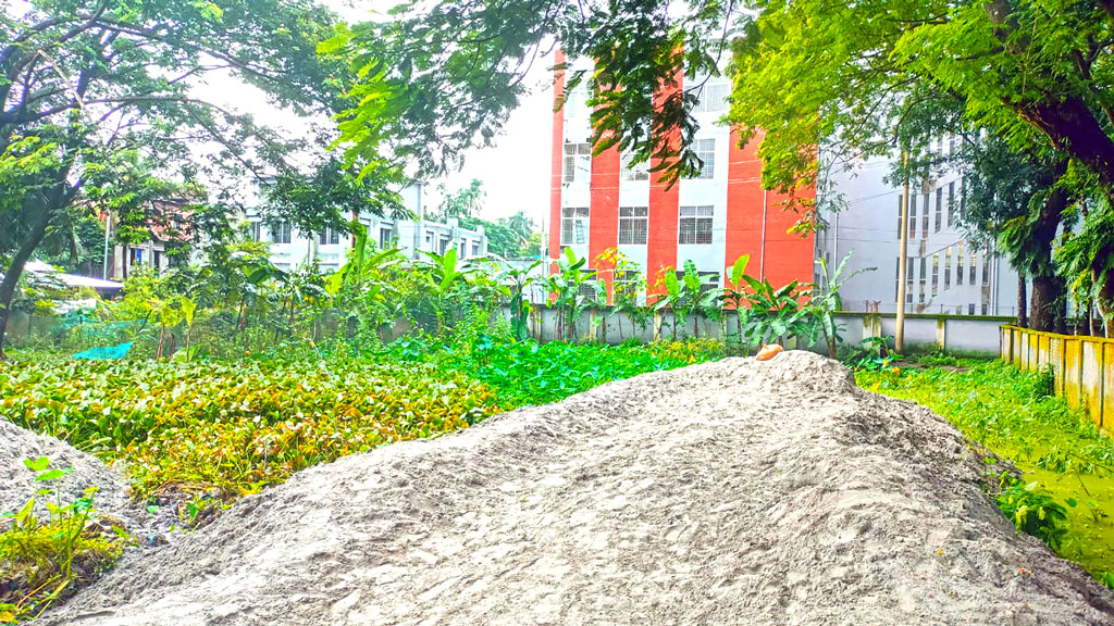সরকারি জমি নেতাদের দখলে