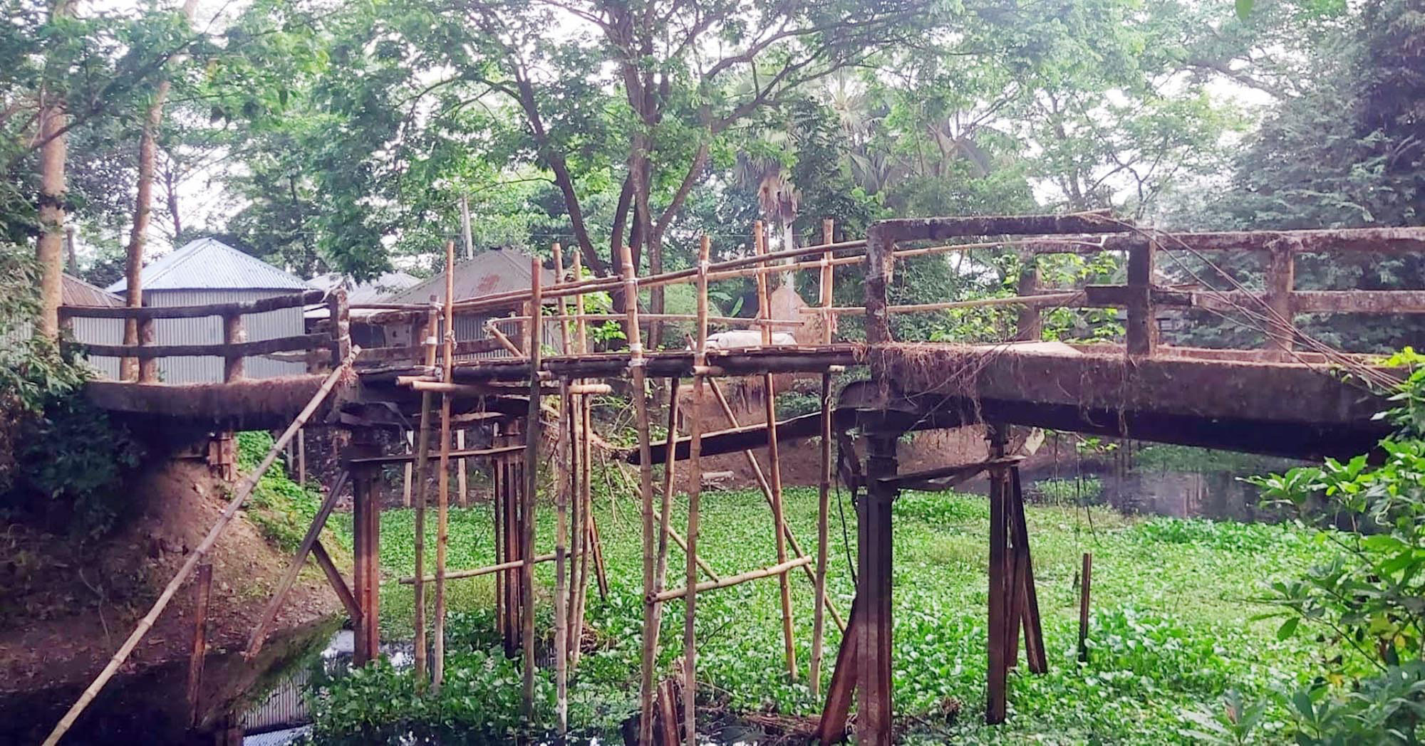 আগৈলঝাড়ায় জরাজীর্ণ সেতু, বাঁশ দিয়ে জোড়া তালিতে চলছে পারাপার