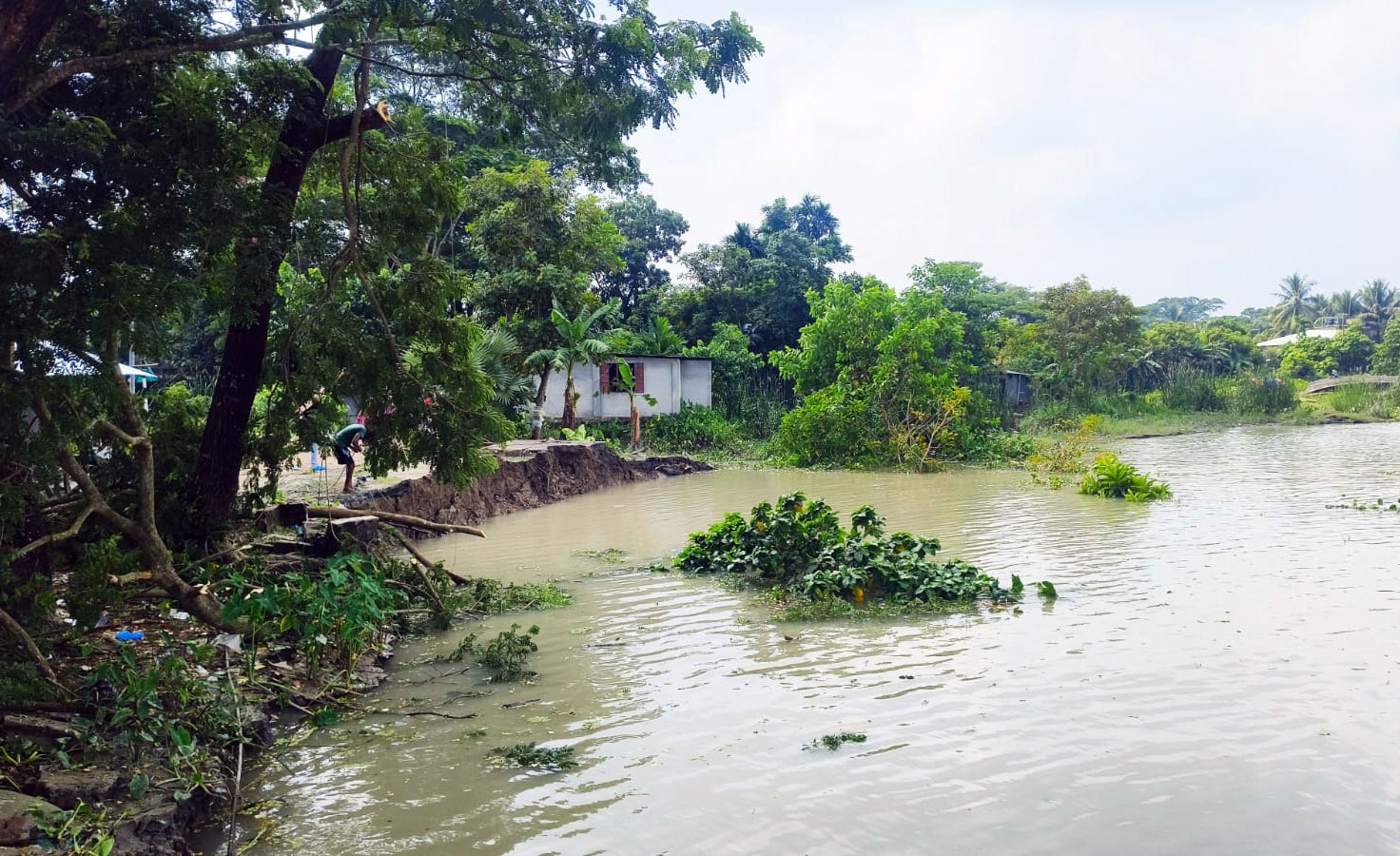 সুগন্ধার ভাঙনে বিলীন বসতভিটা-দোকান, হুমকিতে বাবুগঞ্জ বাজার