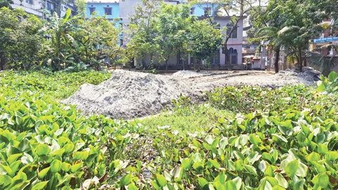 আইন লঙ্ঘন করে কলেজের পুকুর ভরাট অধ্যক্ষের
