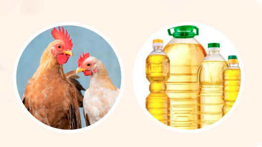 বাজারদর: তেল, মাংস ও মুরগির বাজার এখনো চড়া