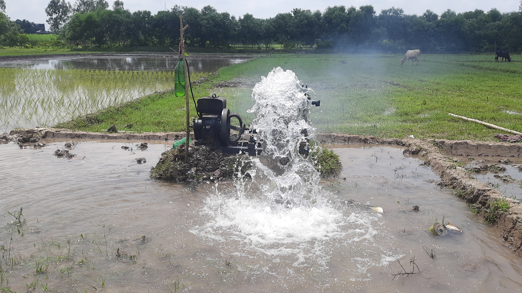 আমন আবাদে সেচযন্ত্র ব্যবহার, বাড়ছে ব্যয়