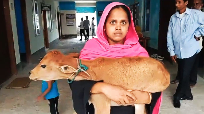 গাভি নিয়ে যাওয়া সেই বিএনপি নেতা বহিষ্কার