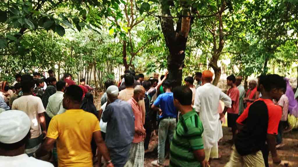 এক সপ্তাহ পর মুরগির ময়লার গর্তে মিলল বৃদ্ধার মরদেহ