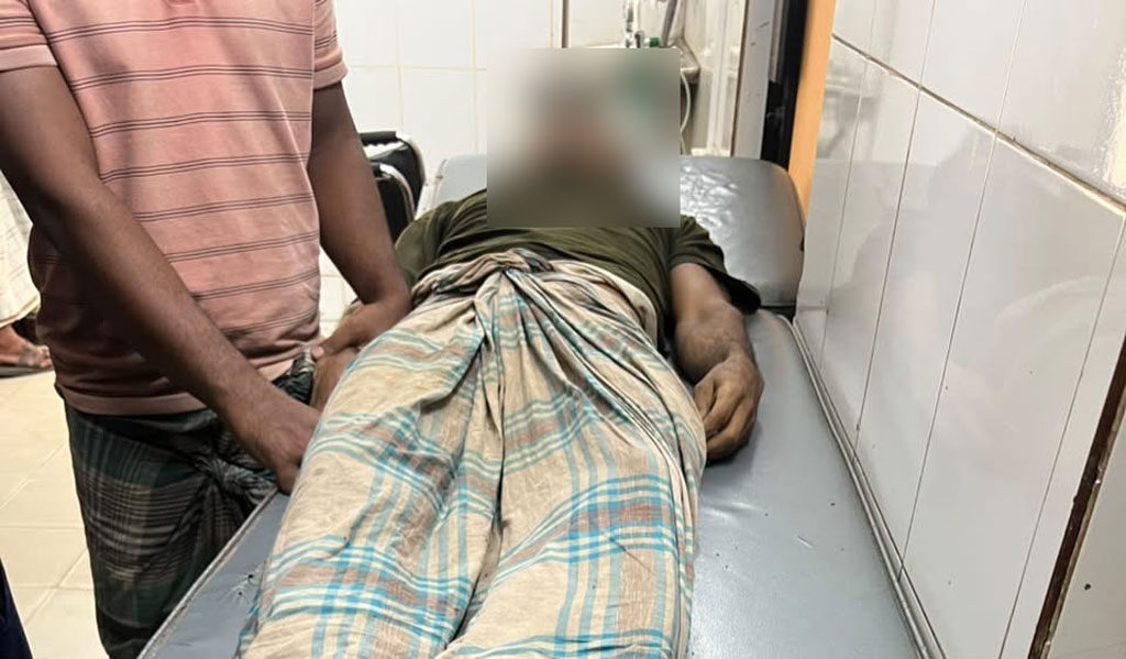 গাছের ডাল কাটতে গিয়ে পড়ে প্রাণ গেলো একজনের