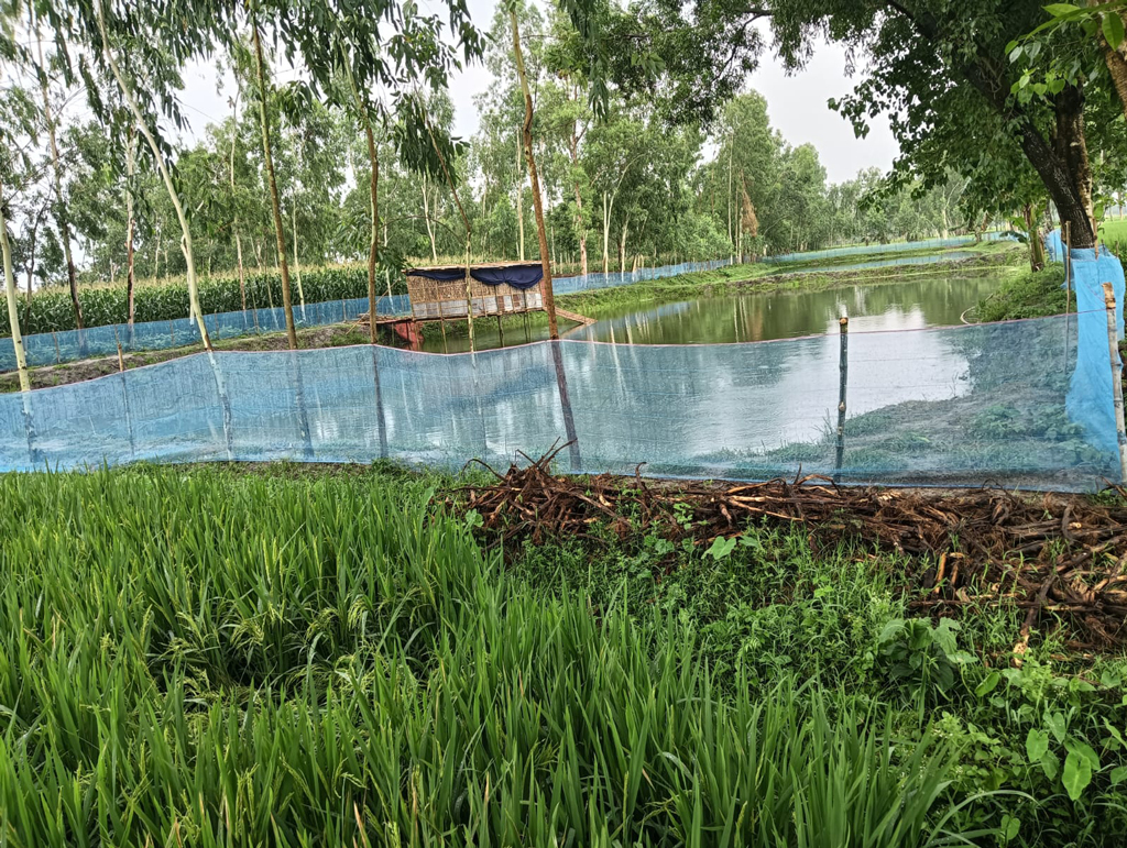 পানি নিষ্কাশনের নালায় বাঁধের কারণে বোরোখেতে জলাবদ্ধতা, মহাসড়ক অবরোধ কৃষকদের