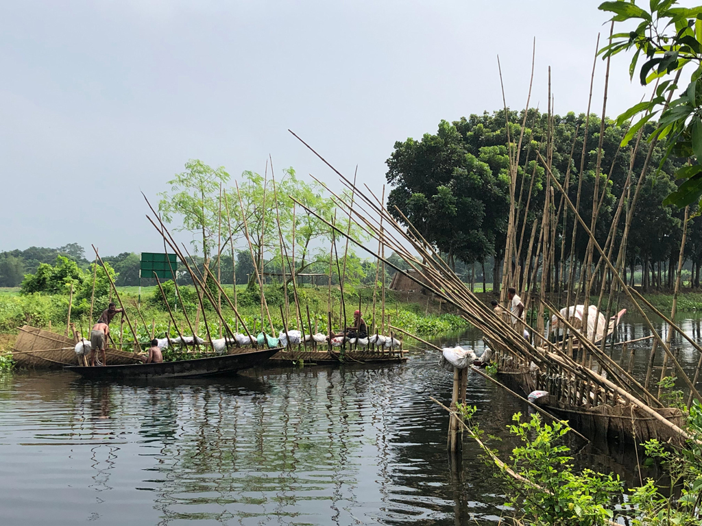 ডিকসির বিলে অবৈধ সোঁতি বাঁধ অপসারণ