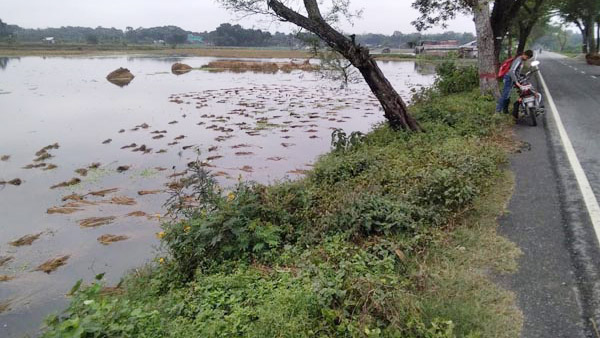 সড়ক বিভাগের ‘ভুলের’ মাশুল গুনলেন কৃষক