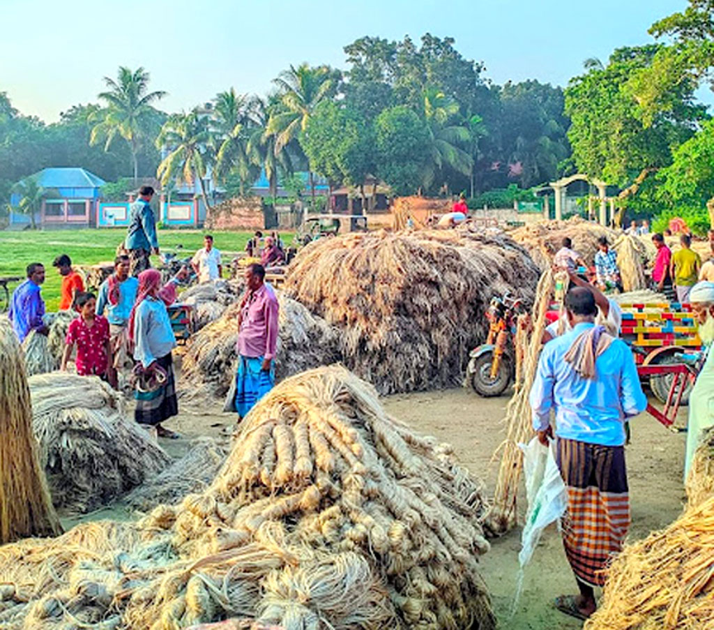 ধাপে ধাপে পাট জাগ দেওয়া, শুকানো আর আঁশ ছাড়ানোর কাজ শেষ করেছেন কৃষক। এখন হাটে নিয়ে এসেছেন বিক্রি করার জন্য।  মানিকগঞ্জ সদর উপজেলার কাটিগ্রাম হাট, ১ অক্টোবর ২০২৩।  ছবি: আব্দুর রাজ্জাক