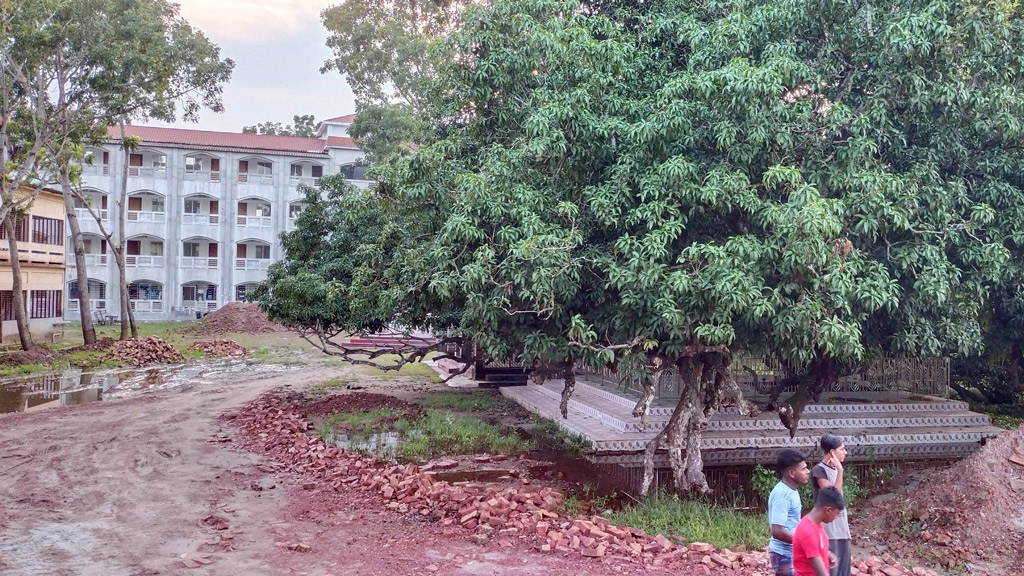 শতবর্ষী আমগাছ ঘিরে বিদ্যালয়