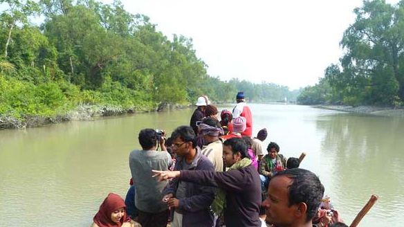 শরণখোলার লোকালয়ে আবারও বাঘ, আতঙ্কে স্থানীয়রা