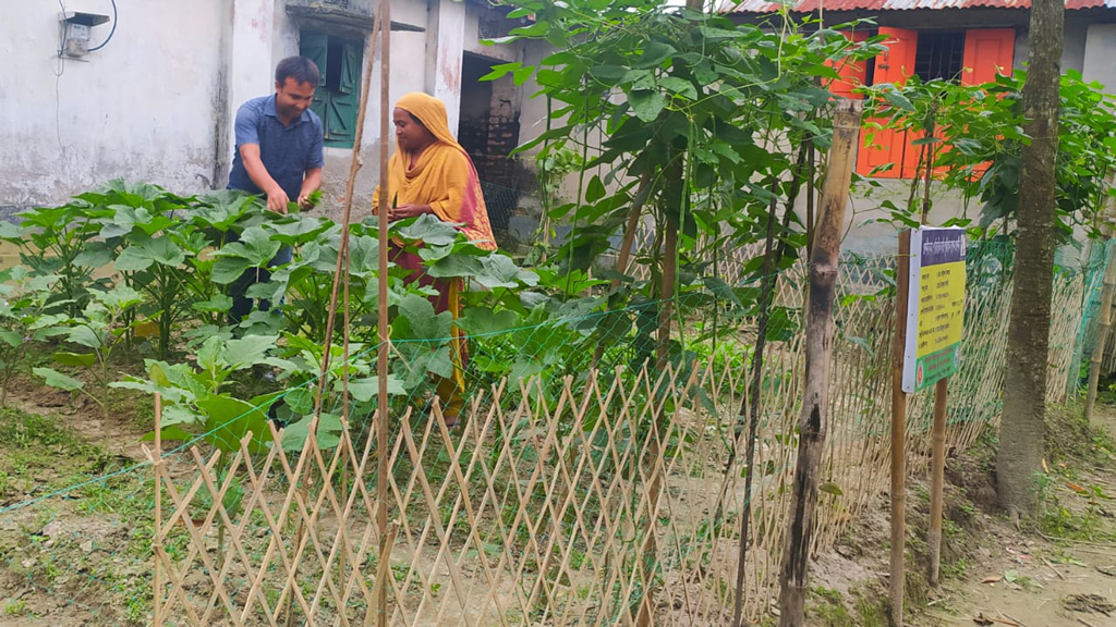 অনাবাদি জমিতে পুষ্টিবাগান