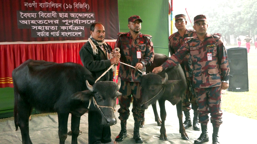 আন্দোলনে গুলিবিদ্ধ নাহিদের পরিবারকে হালচাষের মহিষ দিল বিজিবি