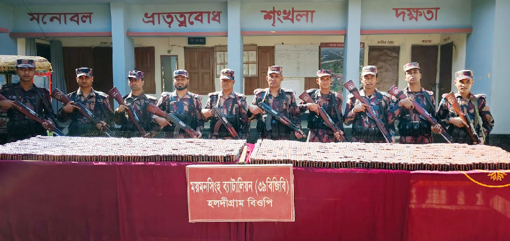 শেরপুর সীমান্তে বিজিবির অভিযানে বিপুল পরিমাণ ভারতীয় ওষুধ জব্দ