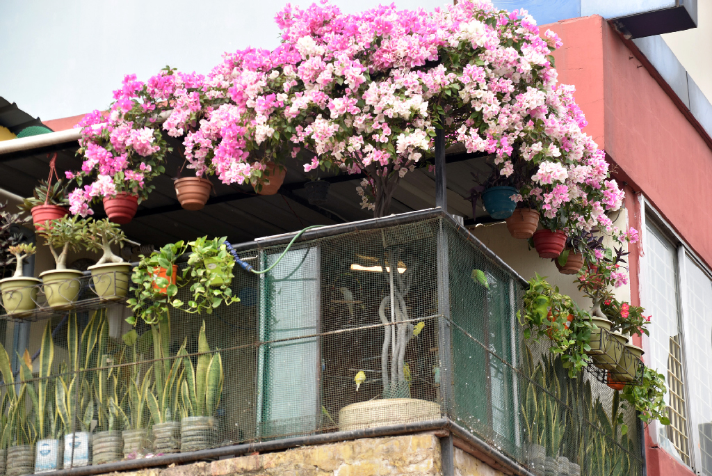 দিনের ছবি (২৬ এপ্রিল, ২০২৬)