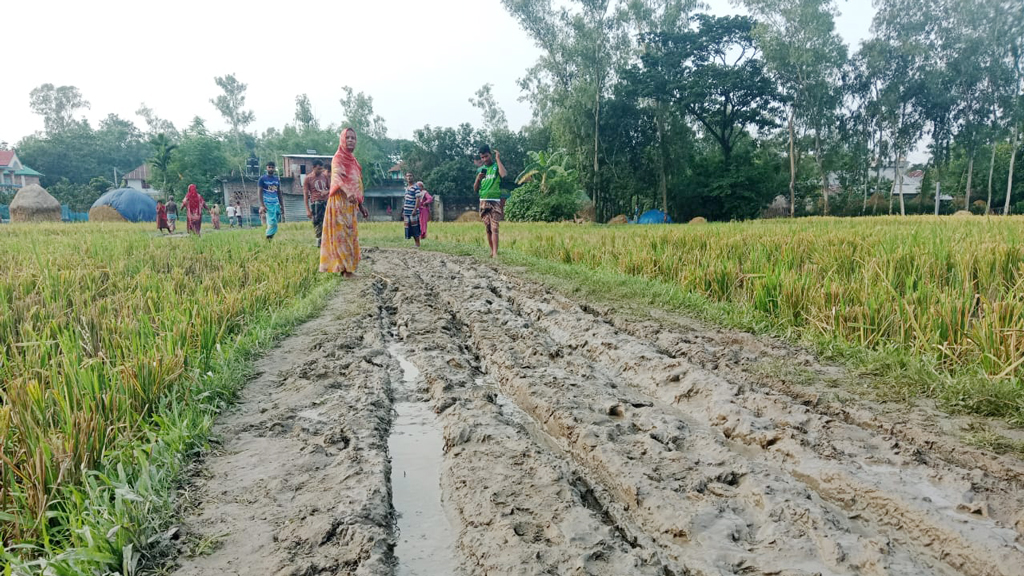 শিবগঞ্জে ২০ বছর ধরে কাঁচা সড়কে জনদুর্ভোগ