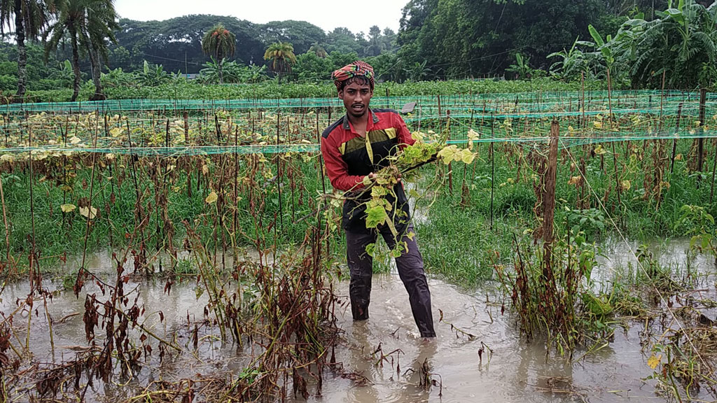 ফকিরহাটে অচল স্লুইসগেট ও ভরাট খাল: জলাবদ্ধতায় বিপর্যস্ত কৃষকেরা