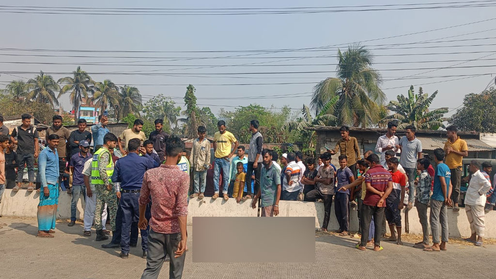 মাইক্রোর ধাক্কায় ছিটকে পড়া স্বামী-স্ত্রী বাসচাপায় নিহত