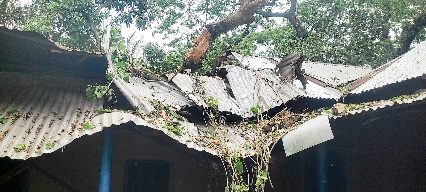 শ্রীপুরে ৪৬ ঘন্টা বিদ্যুৎবিহীন তিন গ্রাম, বিপর্যস্ত জনজীবন