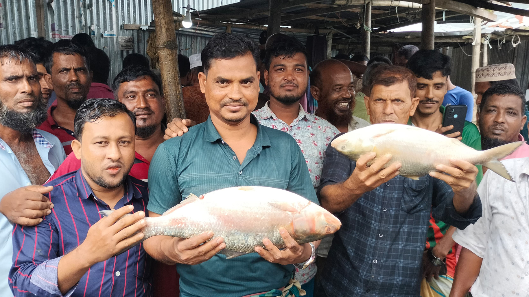 মেঘনায় ধরা পড়ল মৌসুমের বড় ইলিশ, নিলামে দাম উঠল প্রায় ১৩ হাজার