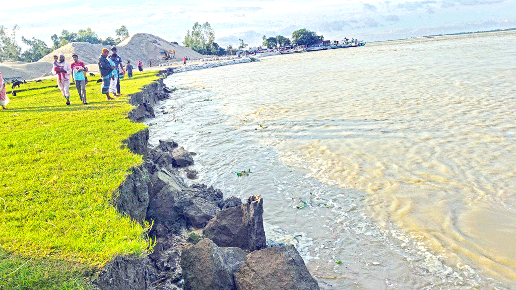 যমুনায় ভয়াবহ ভাঙন আতঙ্কে তীরের মানুষ