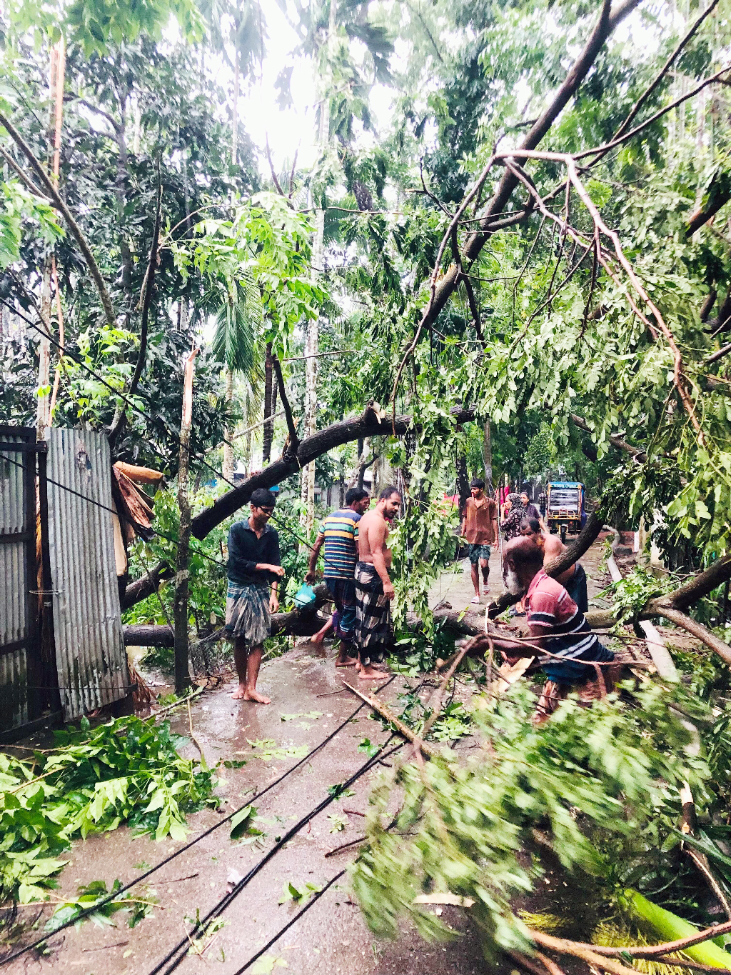 ভোলায় ঝড়ের তাণ্ডবে ভেঙে পড়েছে অনেক গাছ, বিদ্যুৎ বিচ্ছিন্ন
