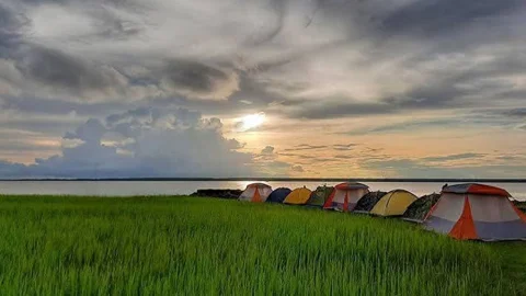 নদী-চর-সবুজের সঙ্গে কুয়াশার মিতালি, ভ্রমণপিপাসুদের ডাকছে মনপুরা