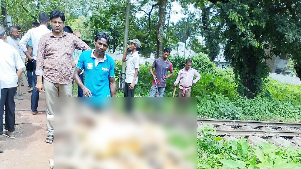 কৃষি বিশ্ববিদ্যালয়ে ট্রেনে কাটা পড়ে ২২ ভেড়ার মৃত্যু