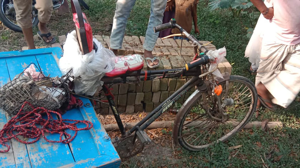 চাটমোহরে ট্রাকচাপায় অটোভ্যানের চালক নিহত