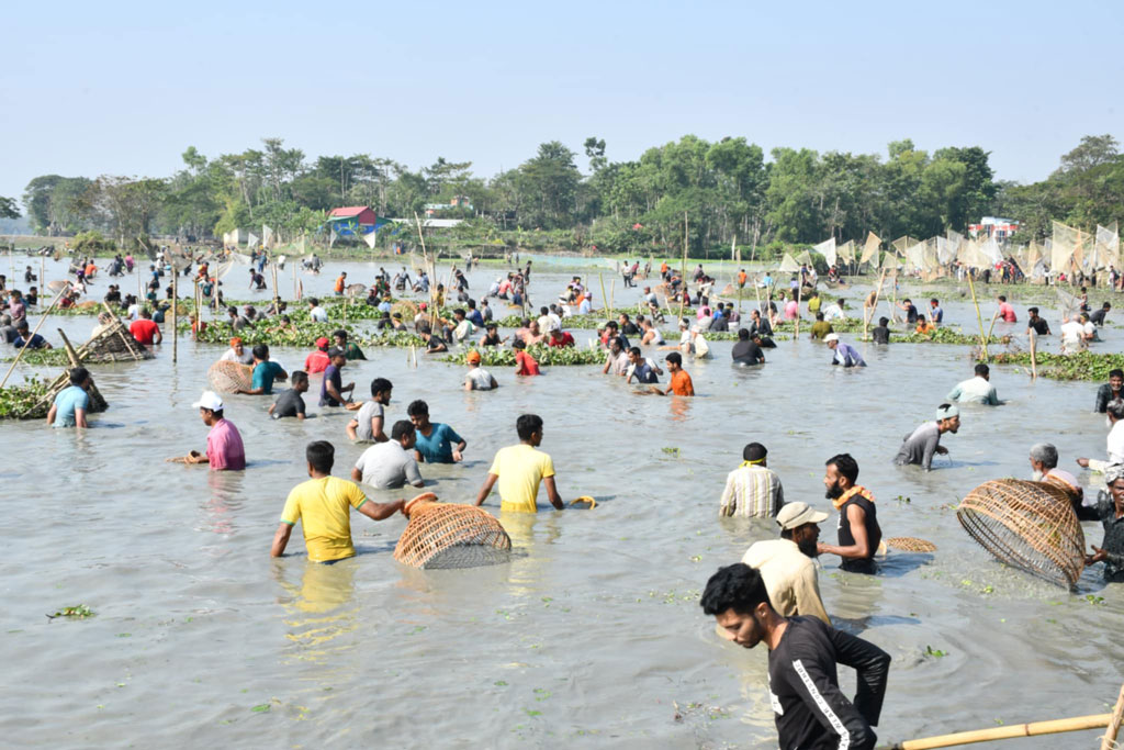 গোয়াহরি বিলে পলো বাওয়া উৎসবে মানুষের ঢল