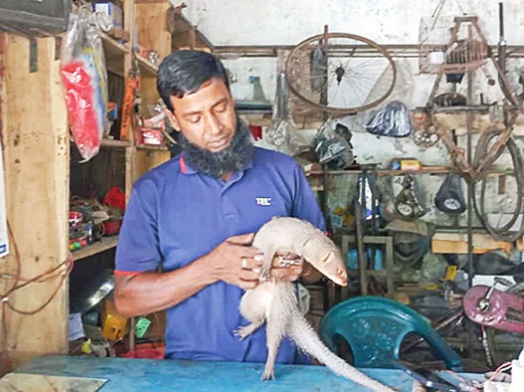 ‘লালু বলে ডাক দিলেই ছুটে আসে বেজিটি’