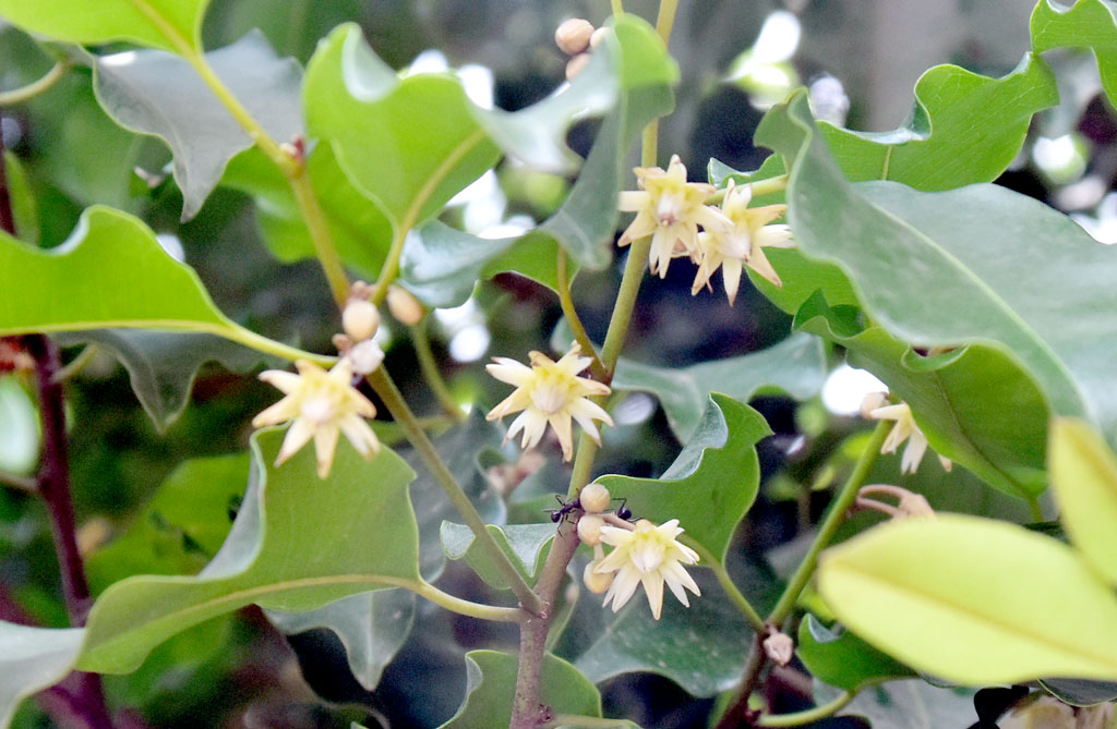 দিনের ছবি (২৮ মে, ২০২৫)