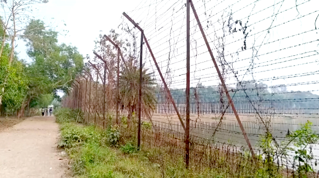 ব্রাহ্মণবাড়িয়া সীমান্তে বিএসএফের হাতে এক বছরে ৭ হত্যা