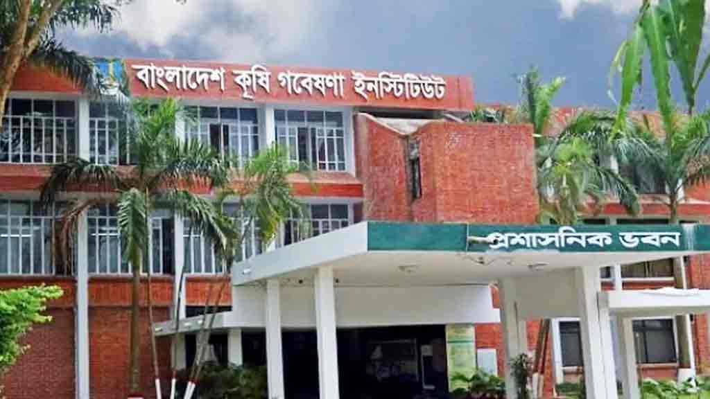 বাংলাদেশ কৃষি গবেষণা ইনস্টিটিউটে ৩০১ পদে বড় নিয়োগ