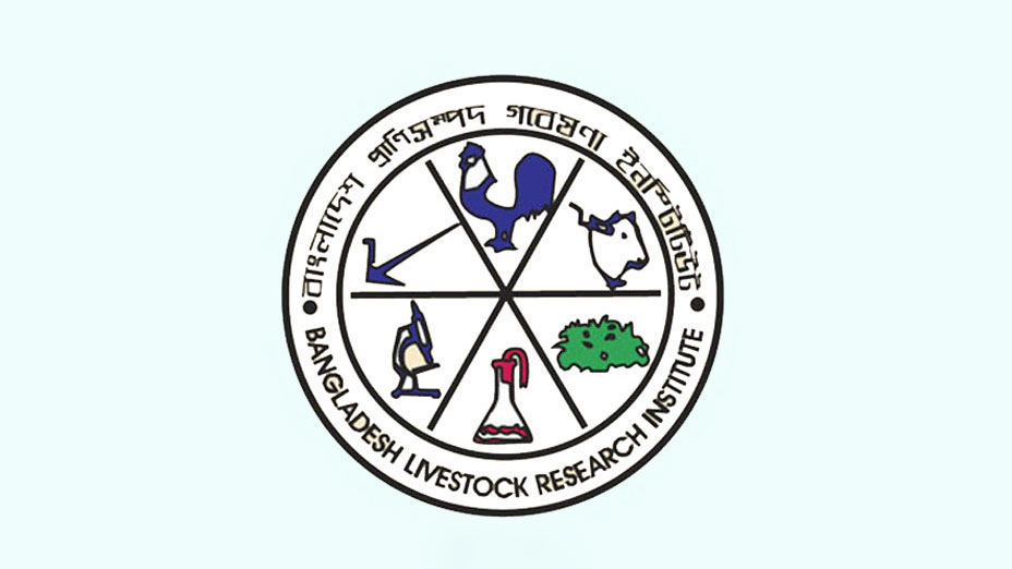 গবেষণার মোরগ বারবার চুরি
